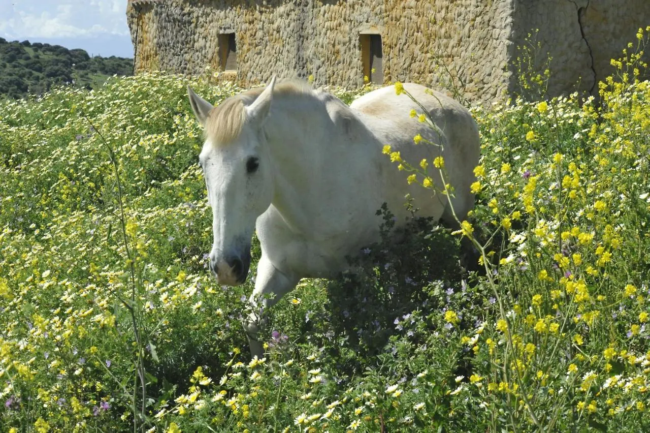 Finca La Cantarera Tarifa 0*,  Spain